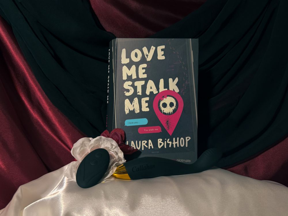 The closed Callahan book box
from the dark romance book Love Me Stalk Me by Laura Bishop with the adult toy and remote in front of it.