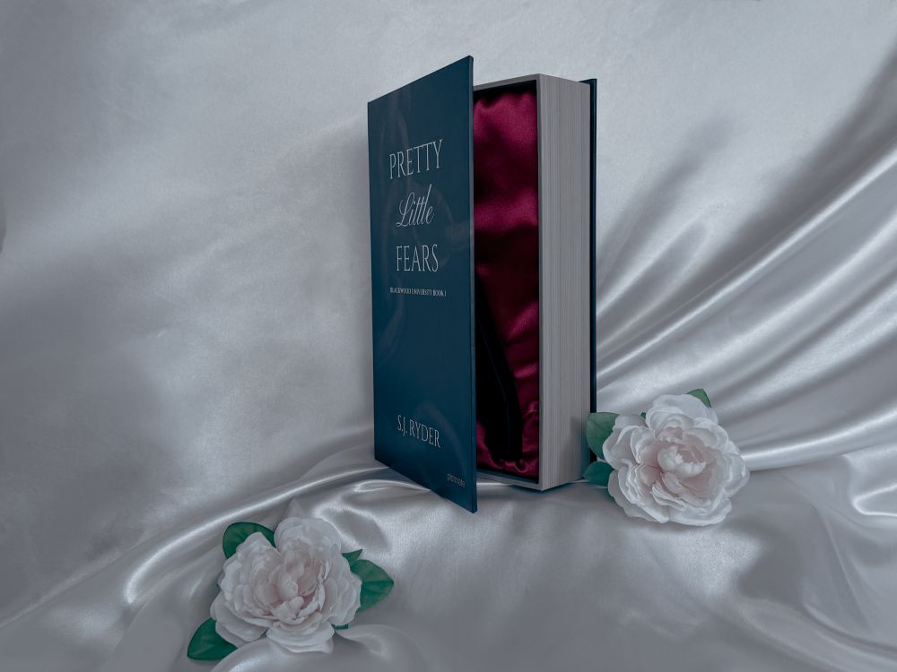 The opened book-like package for Pretty Little Fears by S.J. Ryder and the hilt of the silicone knife toy visible within it.