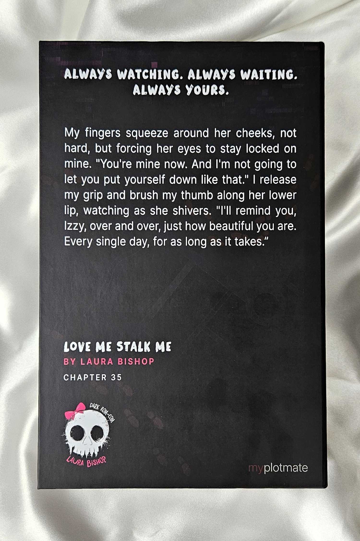 The back cover text of the product for the dark romance book Love Me Stalk Me