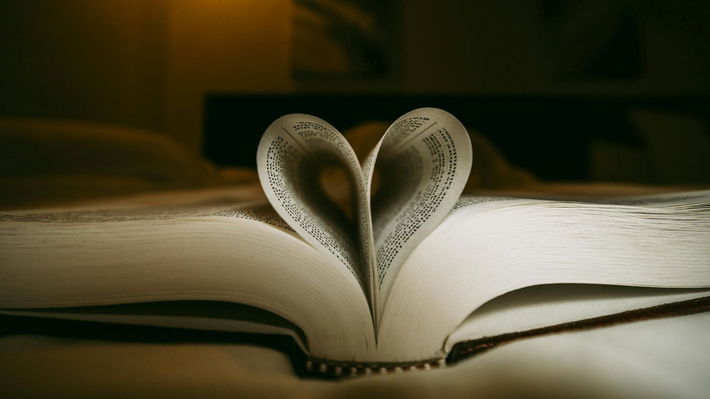 Open book with pages forming a heart.