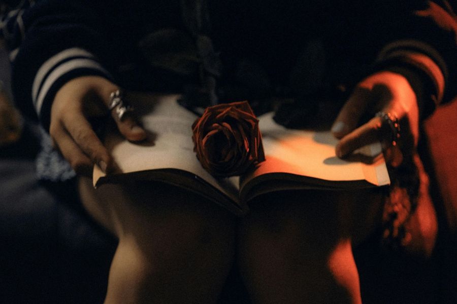 A red rose in an opened book laying on the knees of a woman.