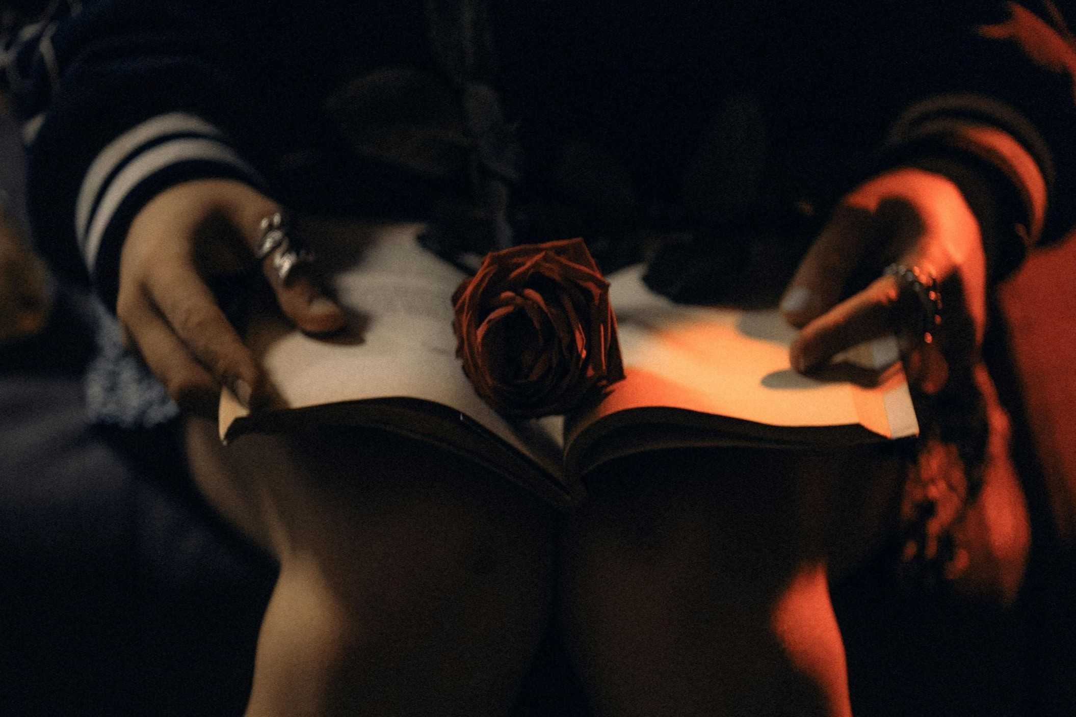 A red rose in an opened book laying on the knees of a woman.
